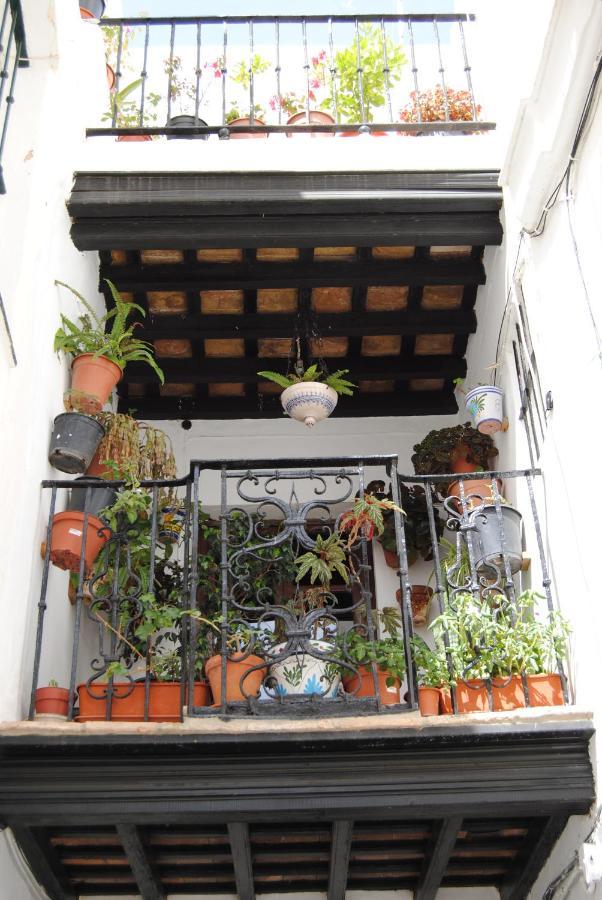 Casa Michele In The Historic Center Daire Vejer de la Frontera Dış mekan fotoğraf